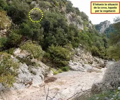 Photograph of RIERA D'ESCALES, COVA DE LA (1 of 7)