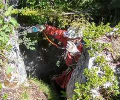 Fotografia de CERNERES, AVENCS PETITS DE (6 de 7)