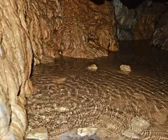 Photographie de FONT CALENTA, COVA DE LA (5 sur 6)