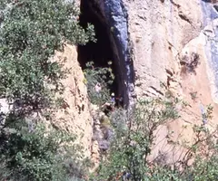 Fotografia de NEGRA DE CORÇÀ, COVA (1 de 14)