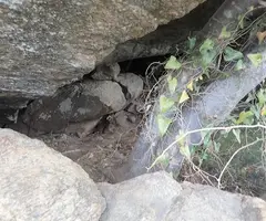 Fotografia de GUILLES, CAU DE LES (2 de 6)