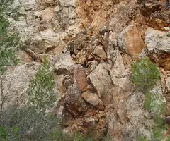 Photograph of MATA, ESCLETXA DE LA (1 of 1)