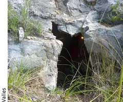 Fotografía de VALL DEL TEIX, COVA DE LA (1 de 3)