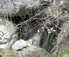 Fotografia de TAVERNA, COVA DE LA (1 de 12)