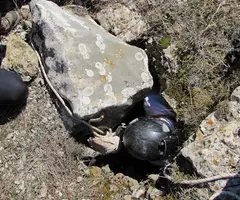 Photograph of CIENTÍFICS, AVENC DELS (3 of 9)