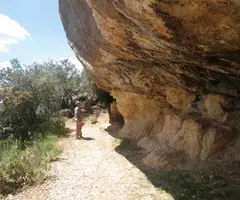 Photographie de BIGUES, COVA DE LES (1 sur 1)
