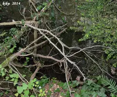 Fotografia de TALLADORS, FORAT DELS (1 de 2)