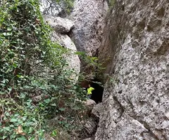 Fotografía de PONT, COVA DEL (1 de 6)