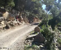 Fotografia de CAN POLÍ, COVA DE (1 de 7)