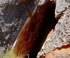 Photographie de BOSC DE LES PARETS, COVA DEL (1 sur 1)