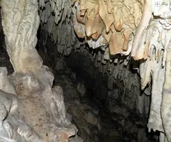 Fotografia de PI, COVA DEL (4 de 7)