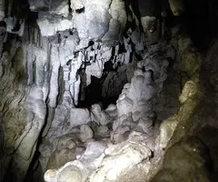Fotografia de PI, COVA DEL (3 de 7)