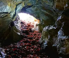 Fotografia de COLL DE L'ALEC, AVENC DEL (6 de 6)