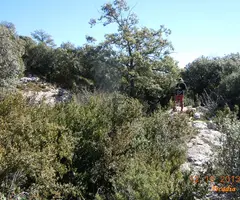 Fotografia de GAVARRERA, AVENC DE LA (2 de 9)