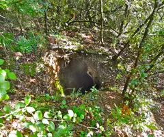Fotografia de RIERA SECA, AVENC DE LA (1 de 1)
