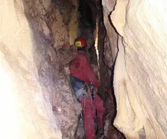 Photograph of SPELEOCORB, AVENC (3 of 3)