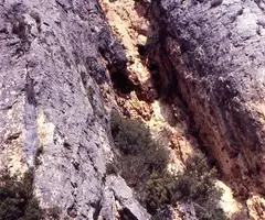 Fotografia de ESCALETA, COVA DE L' (1 de 8)