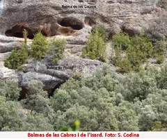 Fotografia de CABRES, BALMA A DE LES (3 de 3)