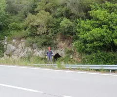 Fotografía de ROCACRESPA, COVETA DE (1 de 4)