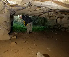 Fotografía de FEIXES, COVA DE LES (4 de 5)