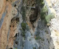 Photographie de PETITA, COVA (1 sur 4)