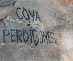Fotografia de PERDIGONES, COVA DE (1 de 4)