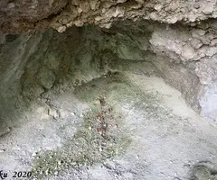 Photographie de BE, COVA DEL (6 sur 6)