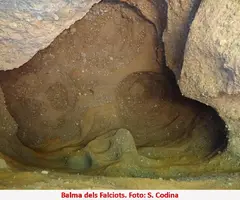 Photographie de FALCIOTS, BALMA DELS (5 sur 5)
