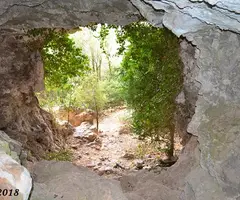 Photographie de GRÈVOL, COVA DEL (7 sur 7)