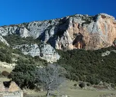 Photographie de MONGES, COVA DE LES (1 sur 1)
