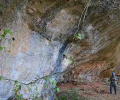 Fotografía de PALACI, BALMA DE (4 de 4)