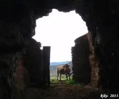 Photographie de TUTA, LA (5 sur 7)