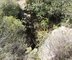 Fotografía de TOSSAL GROS, CAU DEL (1 de 3)