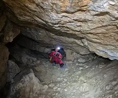 Fotografia de MATA, COVA D'EN (5 de 13)