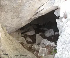 Fotografía de CARTANYÀ, COVA (3 de 12)