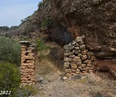 Fotografía de MAÇANA, BALMA Nº1 DE LA (3 de 5)