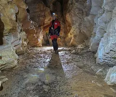 Fotografía de CINGLE DE ROCA ALTA, AVENC DEL (7 de 8)