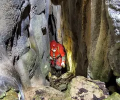 Fotografia de FIGUERA, AVENC DE LA (5 de 5)