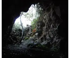 Fotografia de MORSELL, COVA DEL (2 de 4)