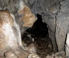 Photographie de MOLINOT, COVA DEL (3 sur 3)