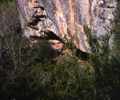 Fotografia de MANDRIL, COVA DEL (1 de 2)