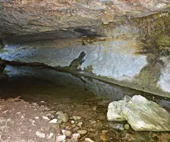 Photographie de MOLÍ VELL, BALMA DEL (2 sur 4)