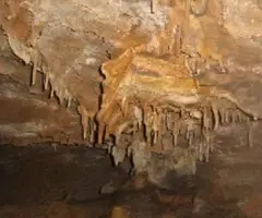 Photograph of DOMINGO GRAU, COVA D'EN (6 of 7)