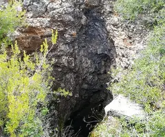 Fotografia de BOSC DEL MOLÍ DE CALÇ, AVENC DEL (2 de 2)