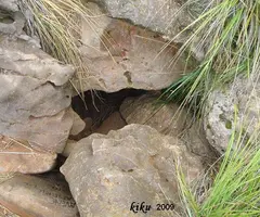 Photograph of LLAMBRICS, AVENC DELS (1 of 2)