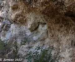 Fotografía de TÚNEL, FORAT DEL (6 de 6)