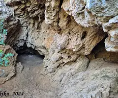 Fotografía de OLIVERA, COVA DE L' (1 de 3)