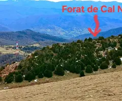 Fotografía de CAL NOI, FORAT DE (1 de 8)