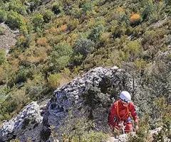 Fotografia de COMARQUES,  GRALLER DE LES (2 de 14)