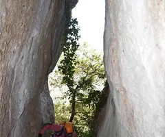 Photographie de FOGUEROSES, COVA GRAN DE LES (15 sur 18)